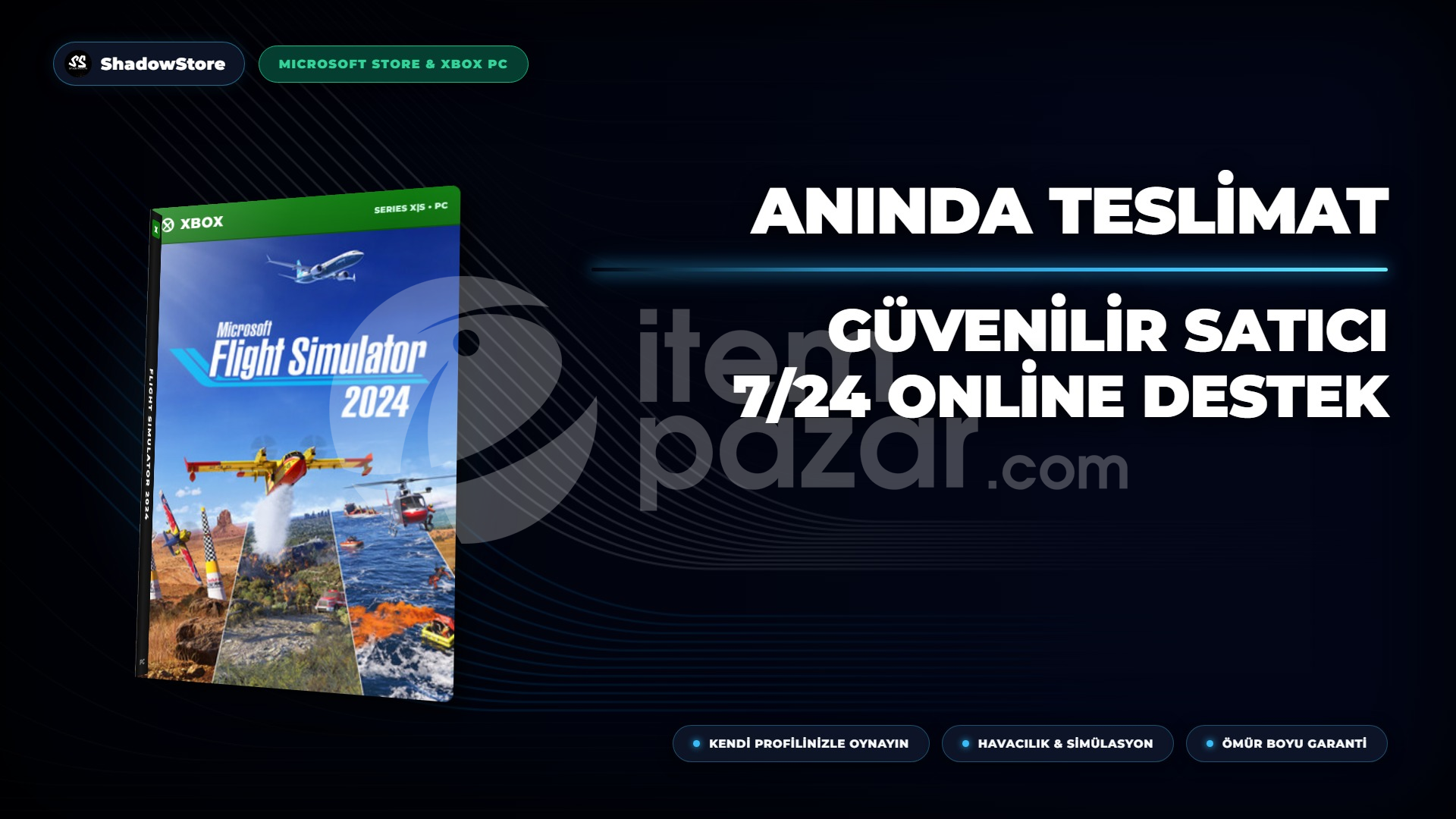 MS Flight Simulator 2024 Online Garanti
