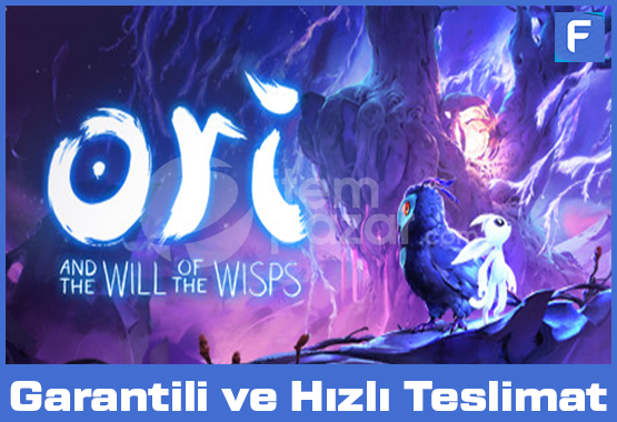 Ori and the Will of the Wisps | Garanti