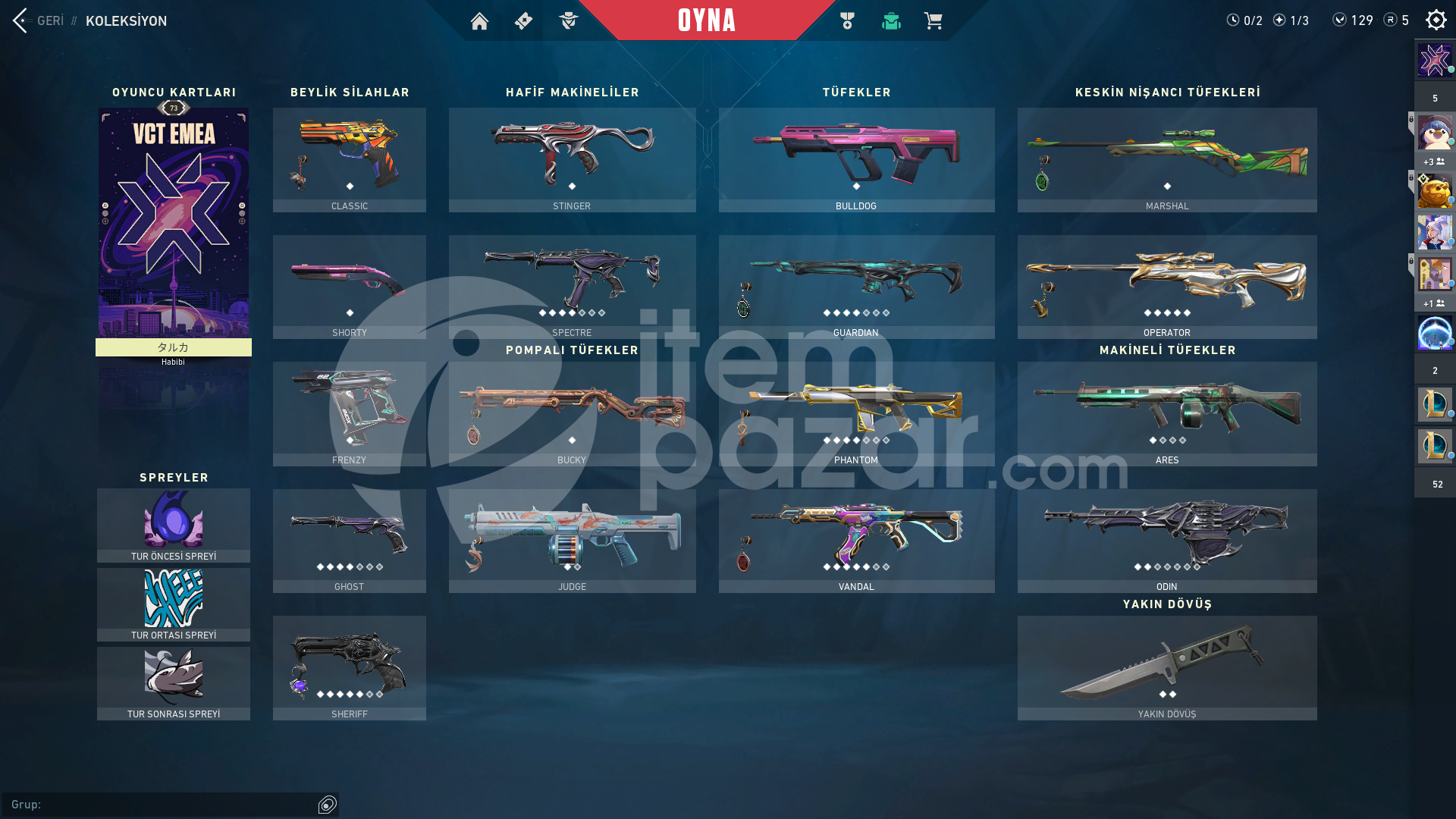 | PASİF | 10 SKİNLİ DLPP YTK EJDR YGMC HESAP H