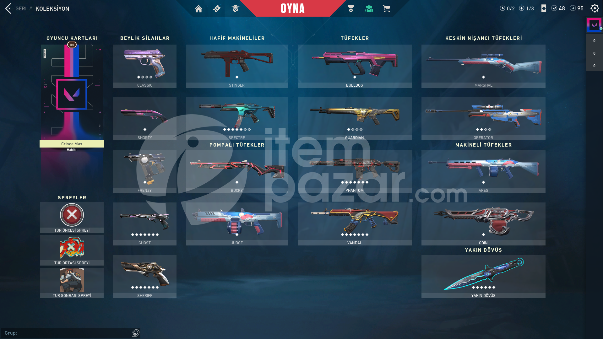 | PASİF | 7 SKİN VNDL 4 SKİN BIC FULL HESAP