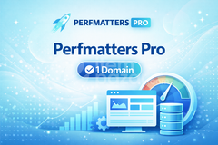 Perfmatters Pro 1 Yıllık
