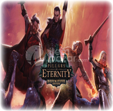 Pillars of Eternity - GARANTİ