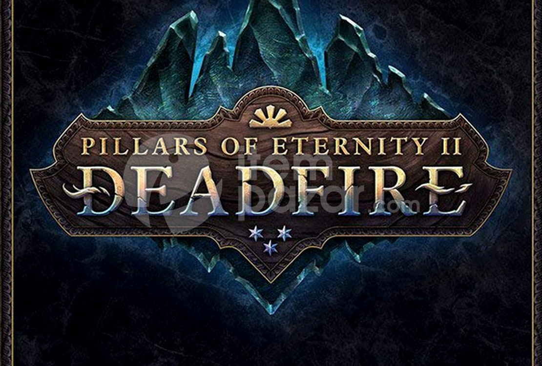 Pillars of Eternity II: Deadfire