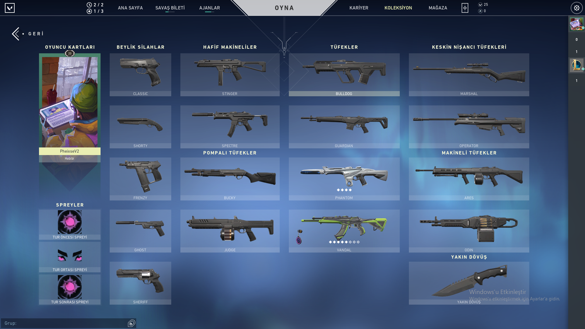 Plat 1 RGX VANDAL+İYON PHANTOM MAİL DEVREDİLİR