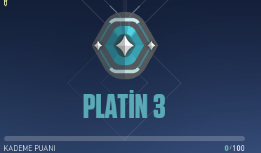 PLATİN 3 HESAP