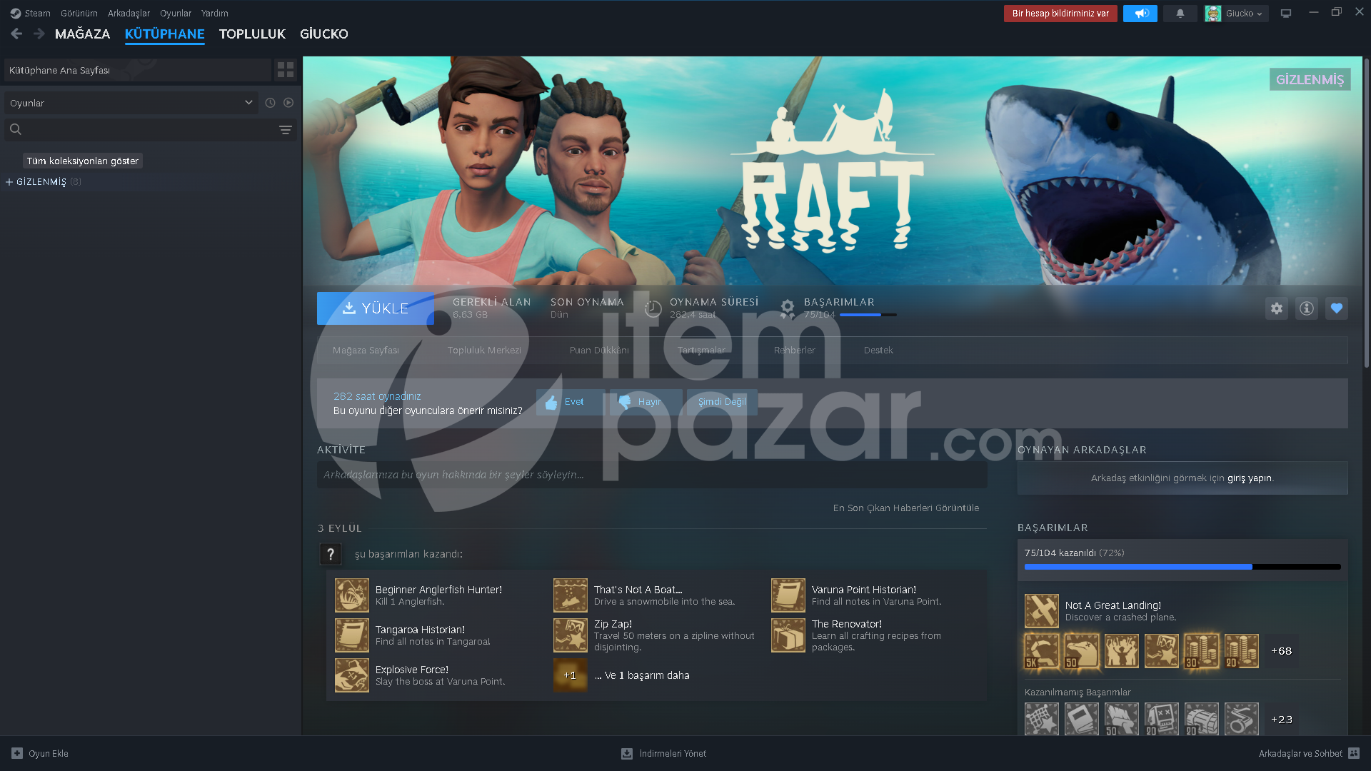 Raft Steam Hesabıı