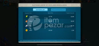 RİSE OF KİNGDOMS HESAP