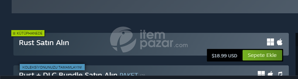 RUST HESABI İÇİ BOŞ 6 DOLAR STEAM BAKİYE