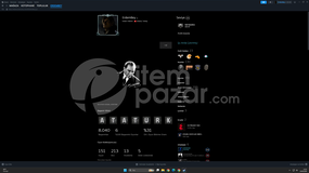 SATILIK PRESTİJLİ STEAM HESABI 101 LEVEL