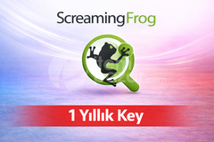 Screaming Frog - 1 Yıl