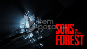 Sons Of The Forest + Garanti