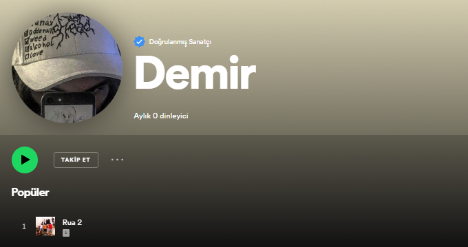 Spotify Mavi Tikli Hesap