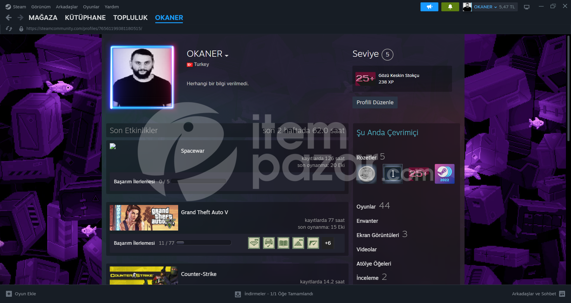 STEAM GTA 5 FIRSAT HESAP!