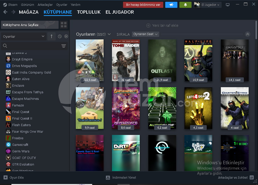 steam hesap 