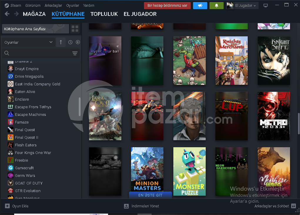 steam hesap 