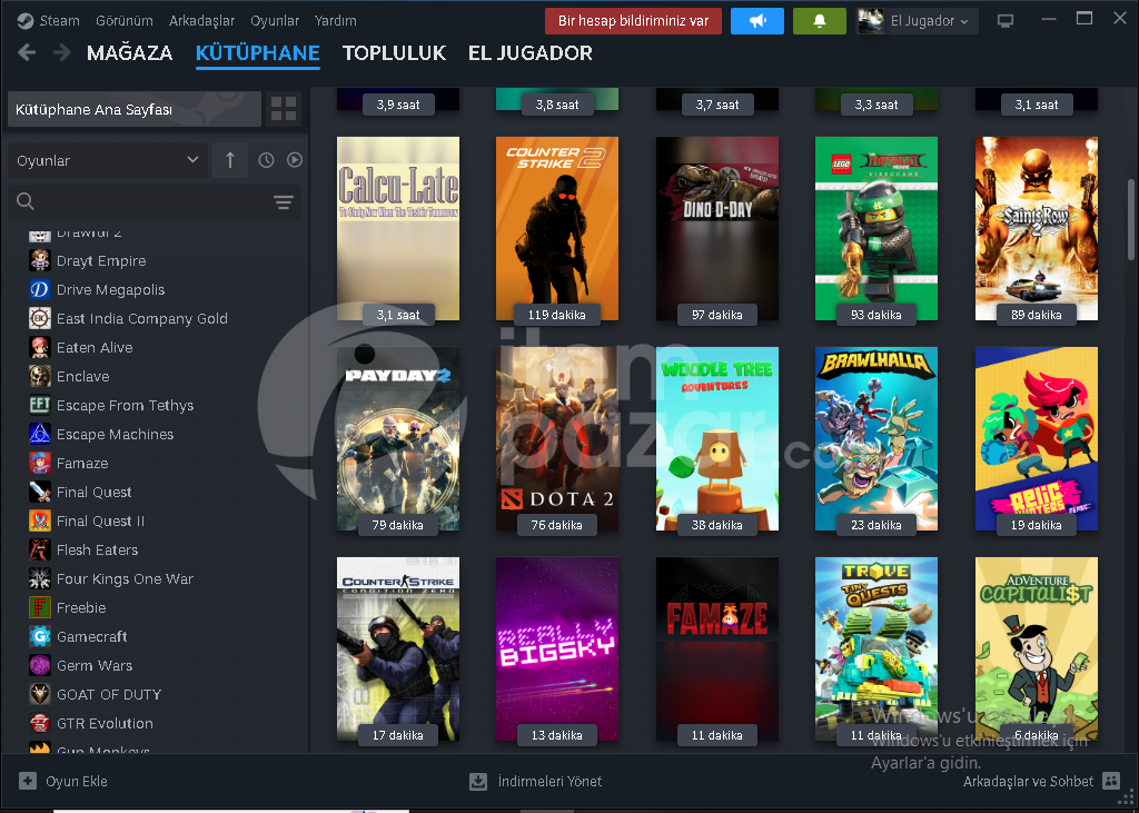 steam hesap 