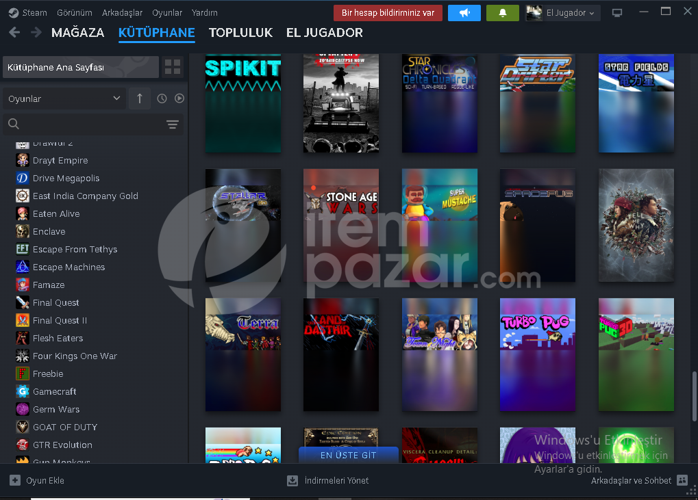 steam hesap 