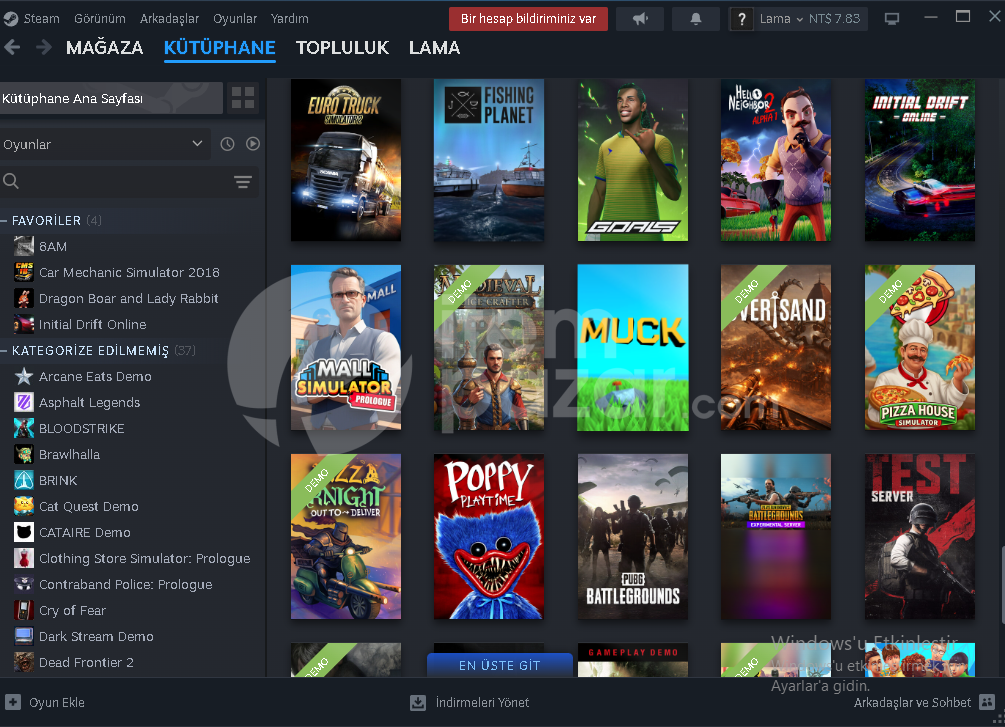 steam hesapp 