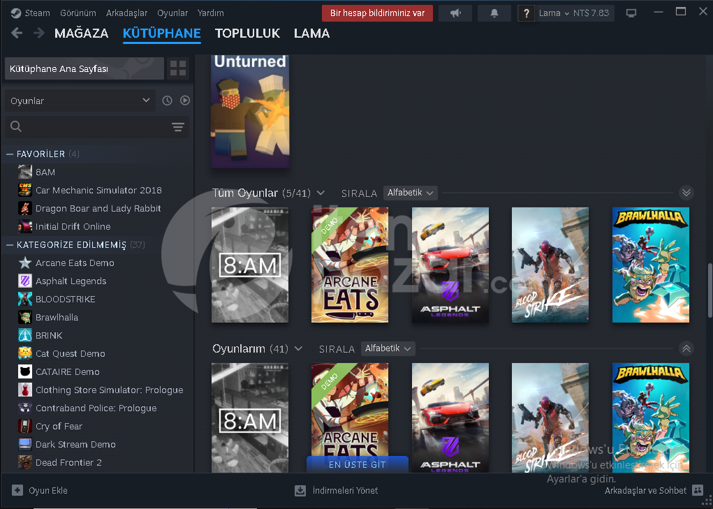 steam hesapp 
