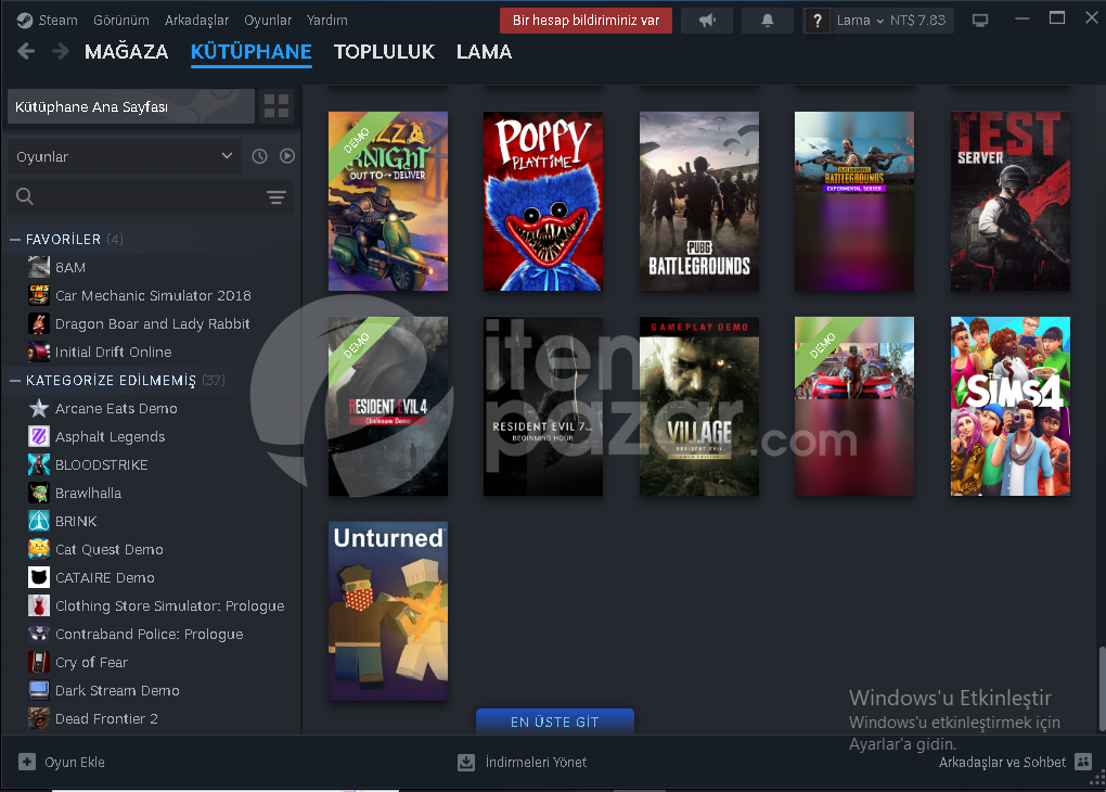 steam hesapp 