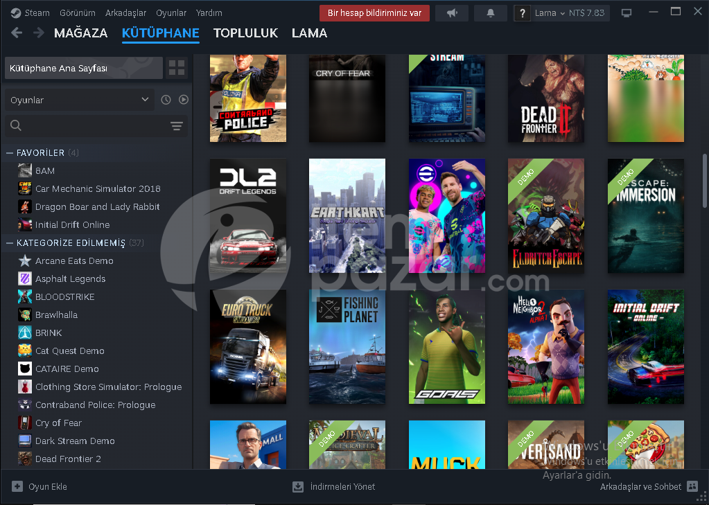 steam hesapp 