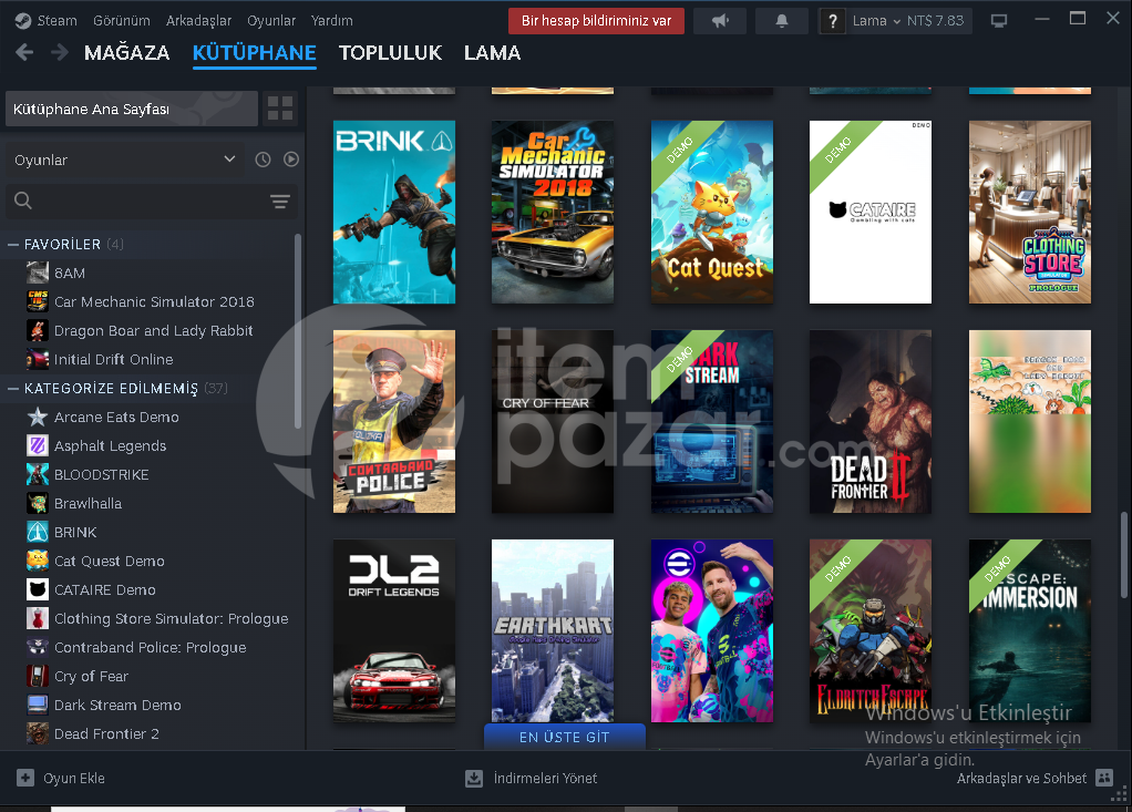 steam hesapp 