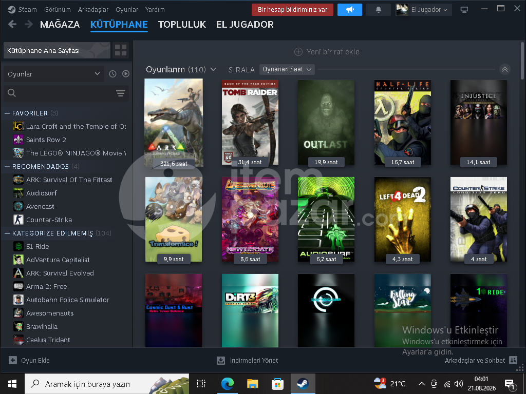 steam seçkin silver2 hesap