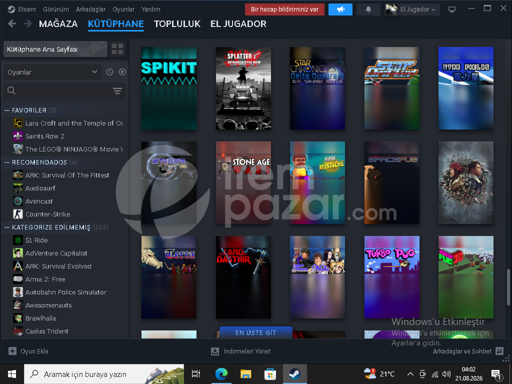 steam seçkin silver2 hesap