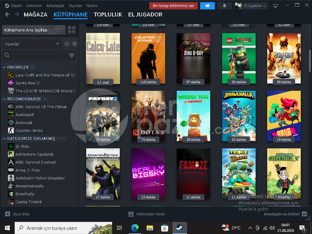 steam seçkin silver2 hesap