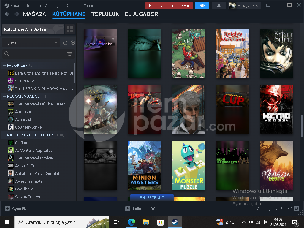 steam seçkin silver2 hesap