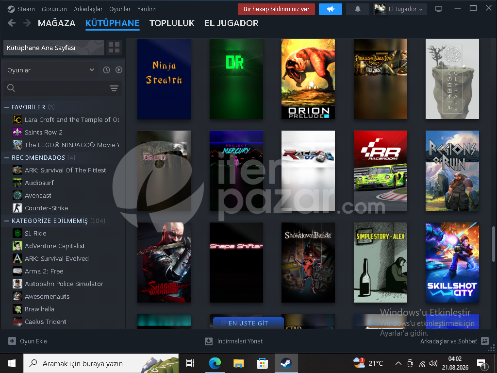steam seçkin silver2 hesap