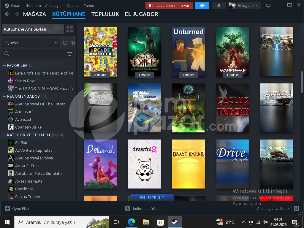 steam seçkin silver2 hesap