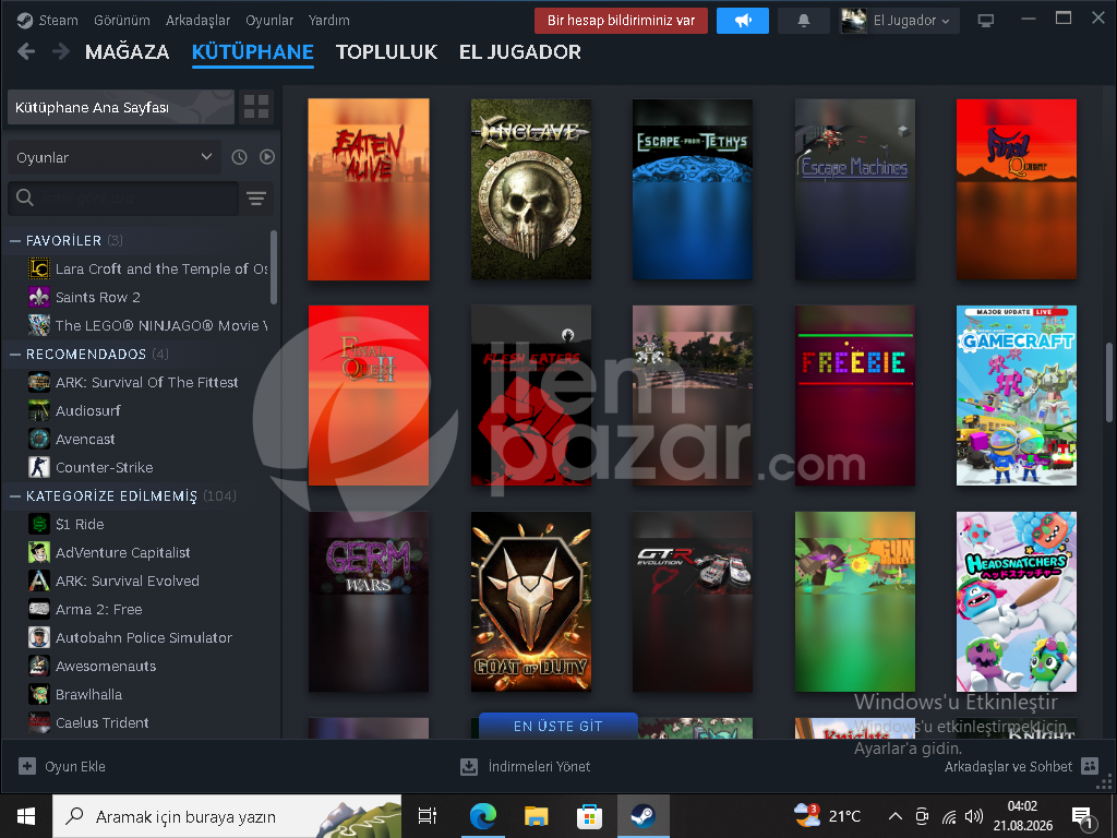 steam seçkin silver2 hesap