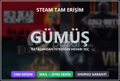 Steam Tam Erisim Gumus Hesap Key