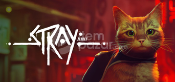 Stray