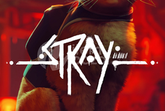 Stray