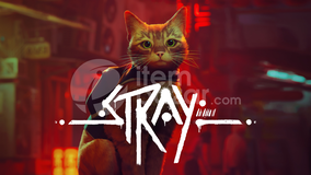 Stray + Garanti