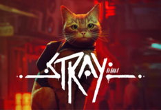 Stray +Garanti + Sınırsız Destek