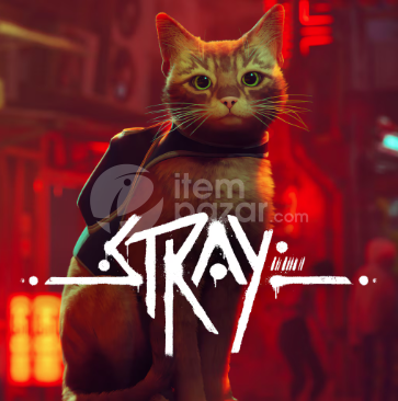 stray steam hesap