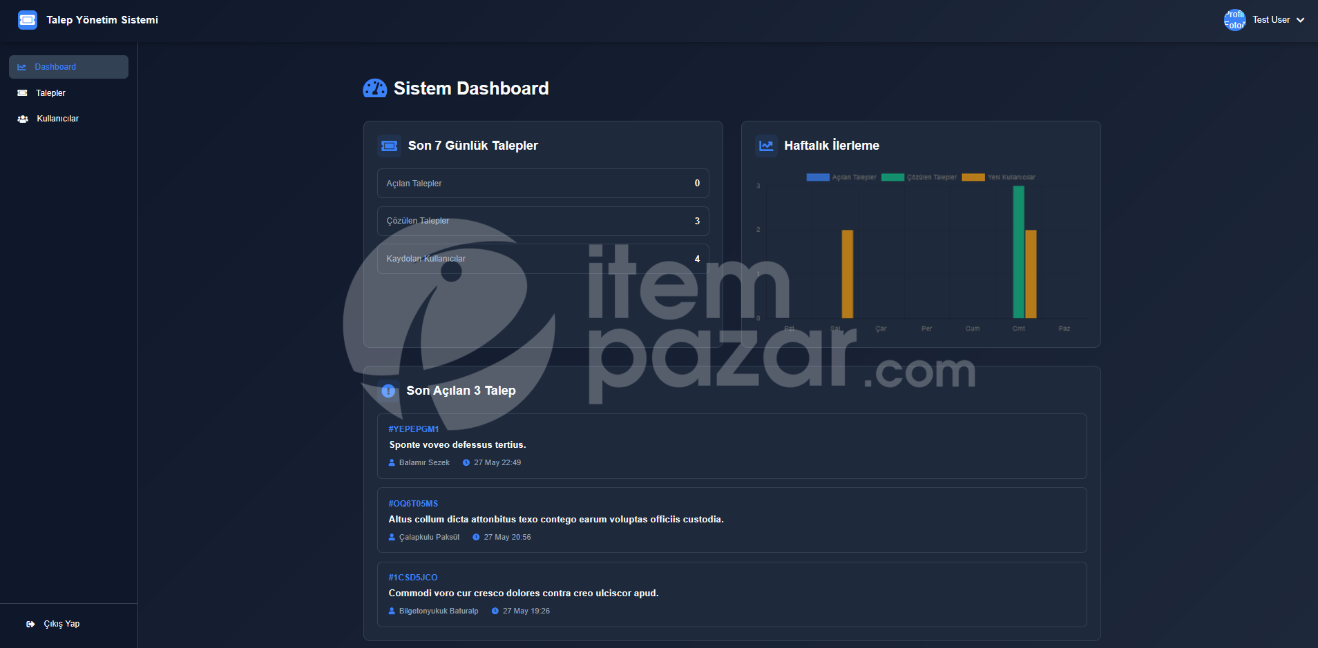 Talep Yönetimi Sistemi – Web Script