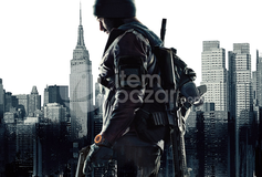 The Division