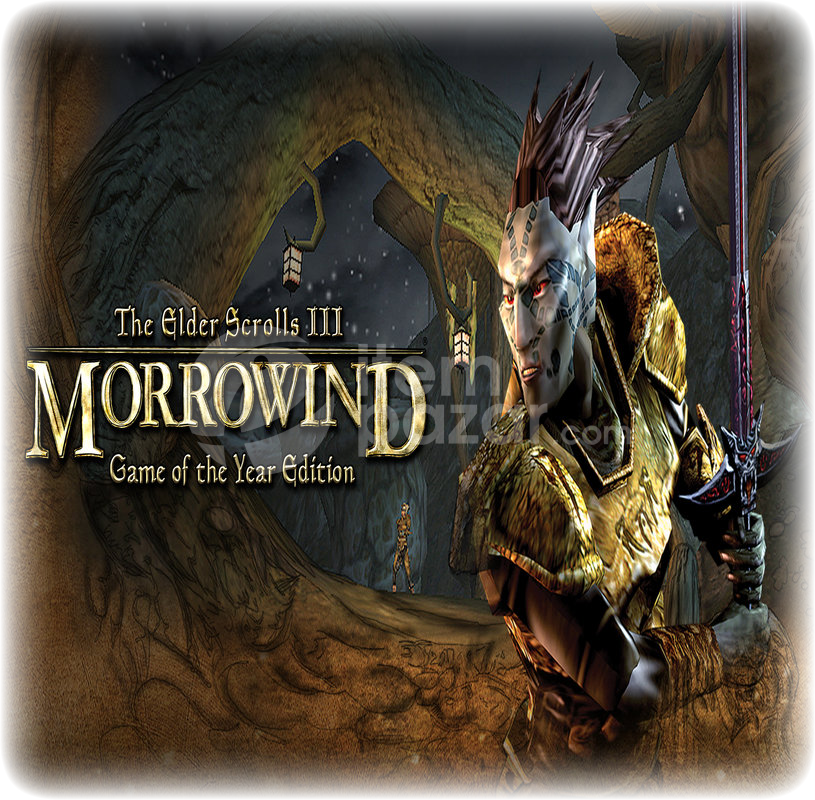 The Elder Scrolls III - GARANTİ