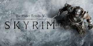 The Elder Scrolls V: Skyrim+SINIRSIZ