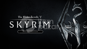 The Elder Scrolls V: Skyrim Special Edition