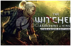 The Witcher 2