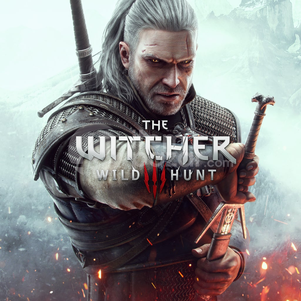 The Witcher 3 Garanti + Destek