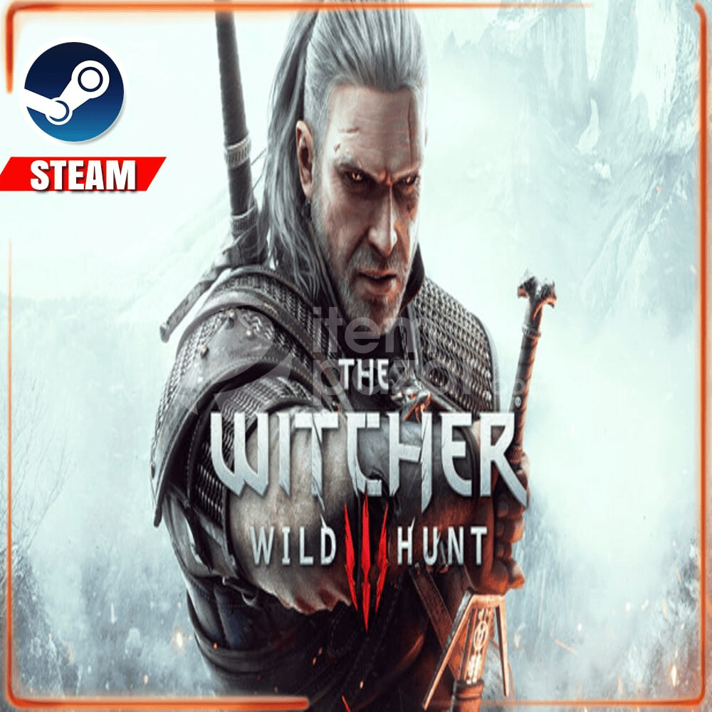 ⭐️ THE WITCHER WILD HUNT + STEAM ⭐