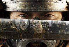 Total War: Shogun 2