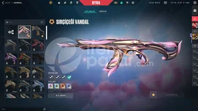 ⭐TR KAYIT/AEMONDIR + SIRÇİÇEĞİ - ExoShop⭐