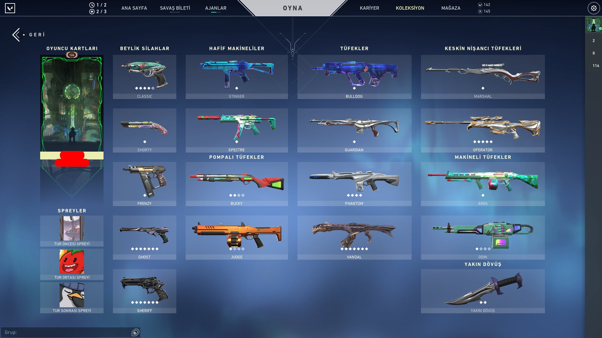 TR MAİLLİ 124 LV 55 SKİN İMMO BİTİRDİ